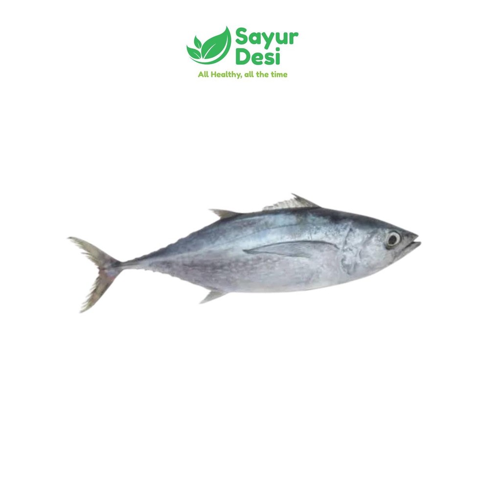 

Ikan Tongkol Abu 500 Gram Sayur Desi