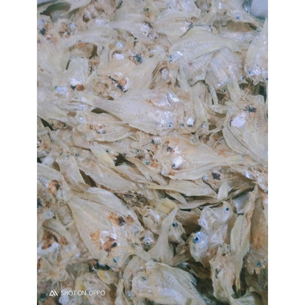 

ikan asin SEMERUPUTRI AYU 100 kering dan tawar