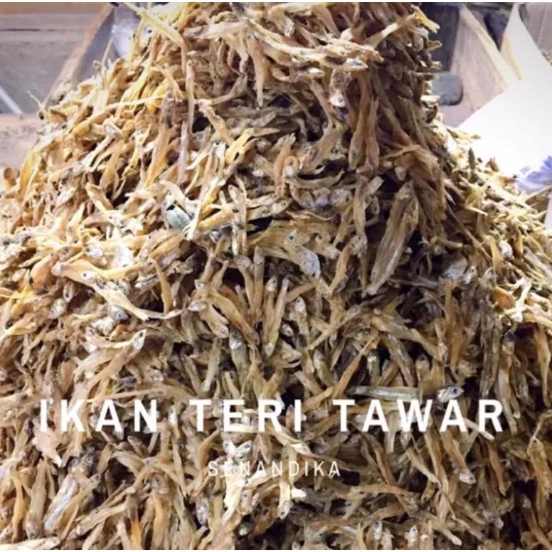 Teri Tawar Ikan Asin Teri Tawar Kering Premium Teri Kecil Teri Tawar Kering Kecil