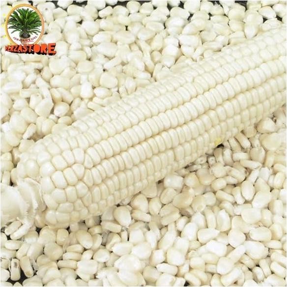 

1kg jagung putih