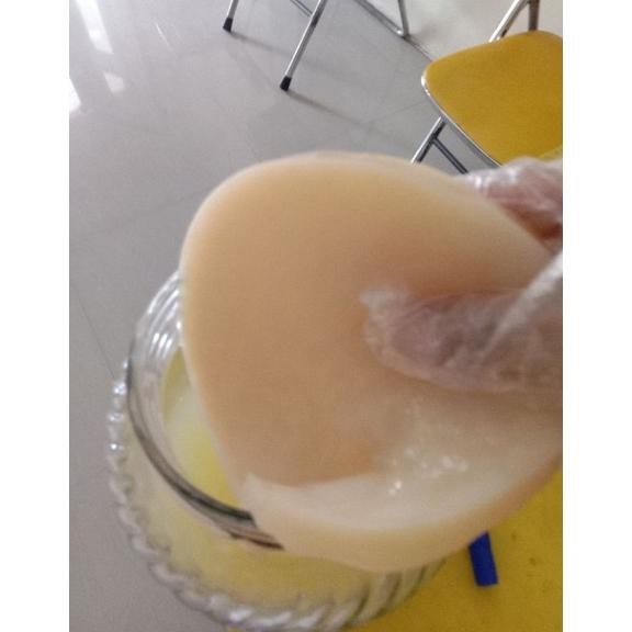 

scoby besar + starter untuk pembuatan 4-5 liter kombucha. Nugi