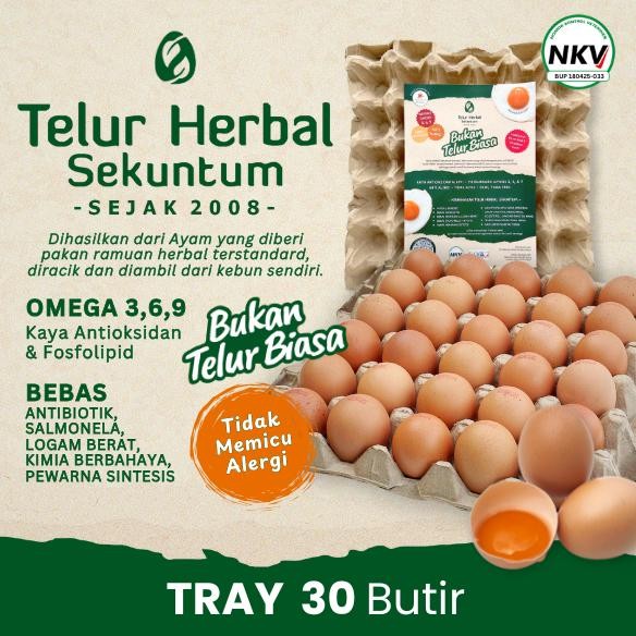 

Telur Herbal - Telur Omega 3, Bebas Antibiotik, Telur Ayam Anti Alergi Sekuntum Herbal Tray / Pack Nugi