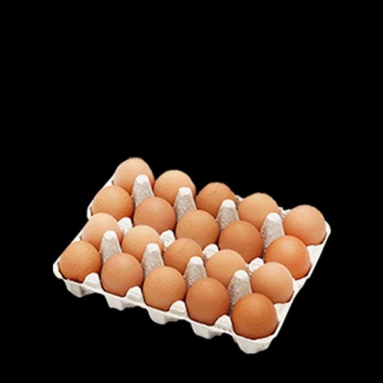 

Telur Ayam 1kg Segar Berkualitas Tinggi Murah Nugi