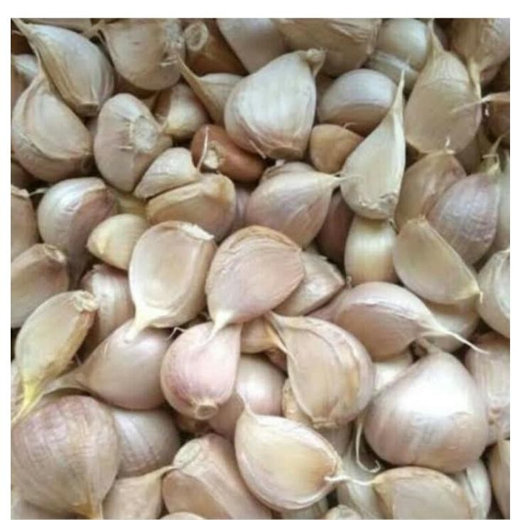 

Bawang Putih Kating Potek 500gr Nugi