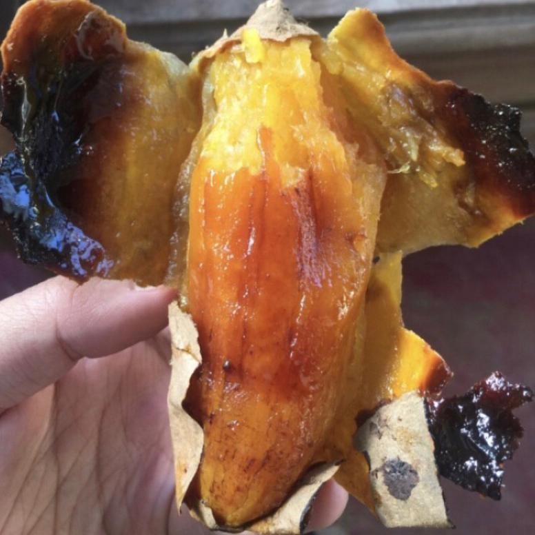 

Ubi Madu Cilembu ( Asli ) Nugi