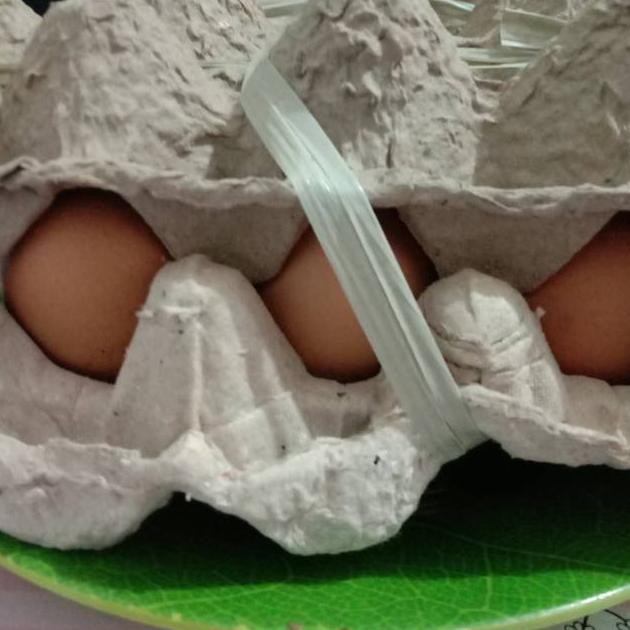 

Telur ayam 1 kg Nugi