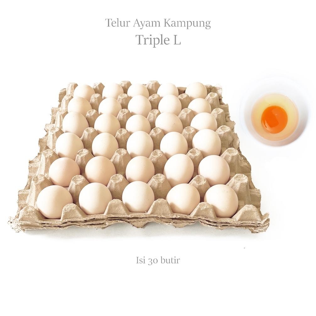 

(Area Bandung) Telur / Telor Ayam Kampung Arab Fresh Nugi