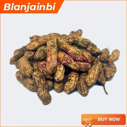 

Kacang Tanah Kulit Mentah Bandung Area Nugi