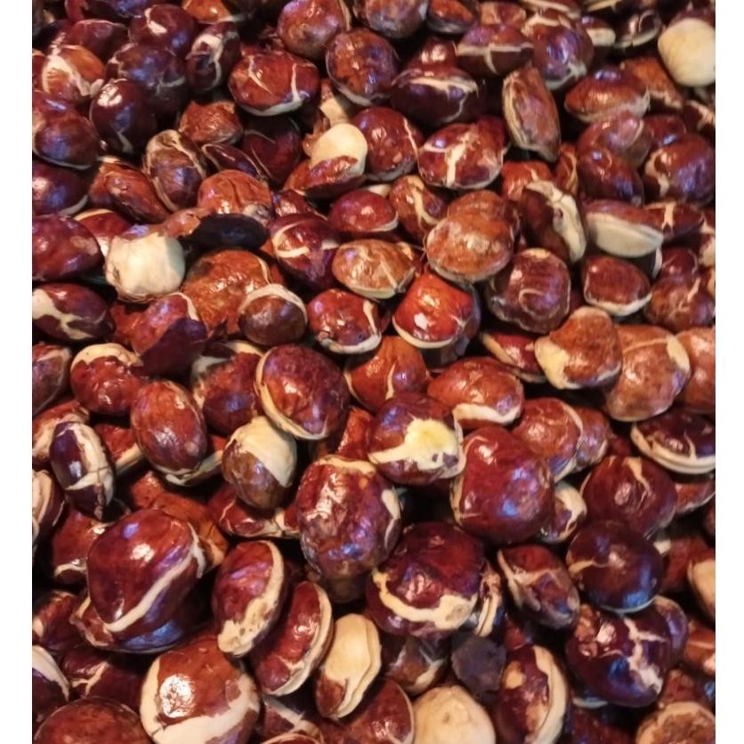 

JengkoltuaspekABmantapkemasan1kg/2kg Nugi