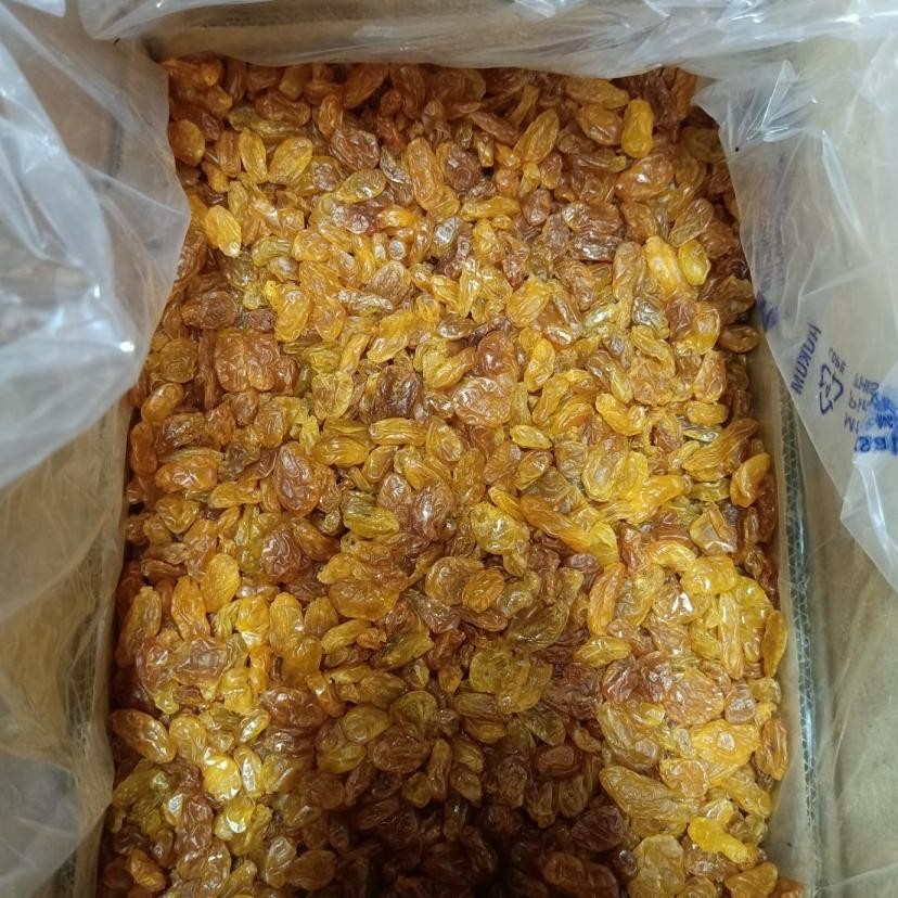 

Golden Raisin Royal King 1 Kg Kismis Raisin 1 Gram