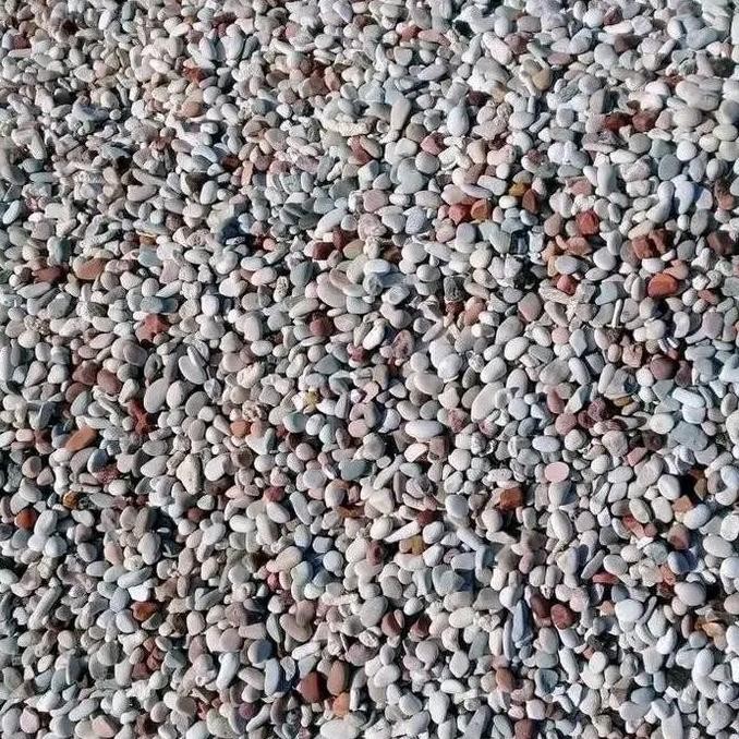 Batu Koral sikat Pancawarna