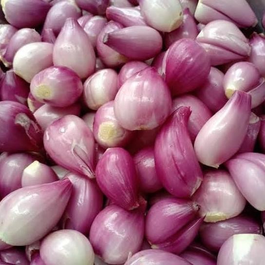 

Bawang Merah Kecil Kupas 500 gr HM