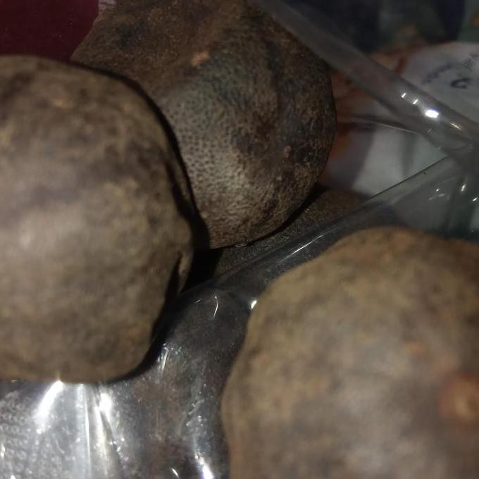 

] Lemon Kering - lemon hitam 100 gram