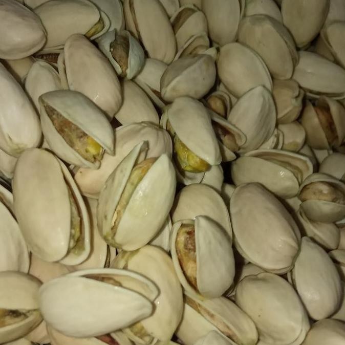 

(:(:(:(] Pistachio atau Fustuk dengan kulit 250 gr