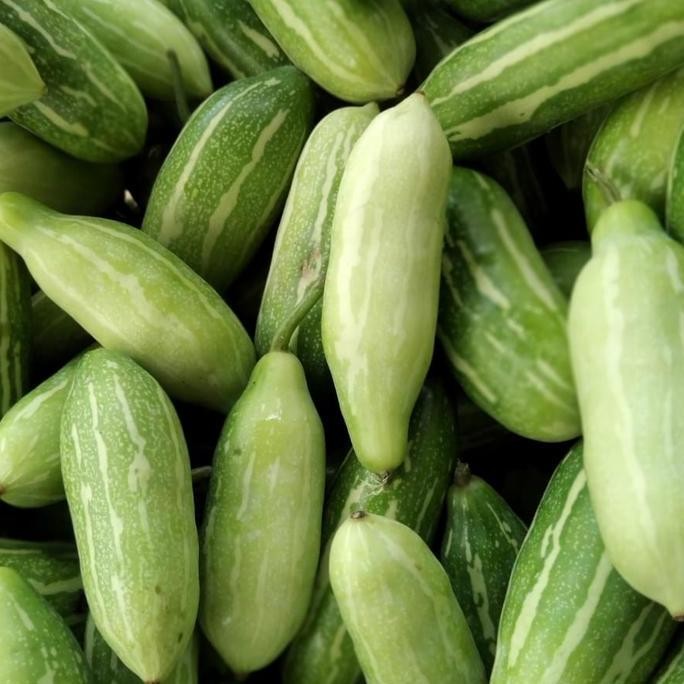 

Termantab] TIMUN TIKUS 500GR