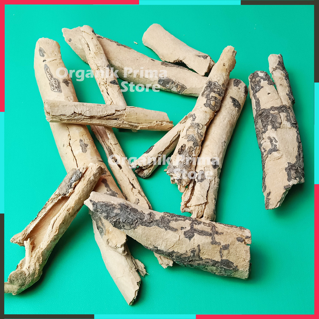 

Kulit Pulosari Kering 500gr Kayu Pulowaras Asli Bersih dan Organik