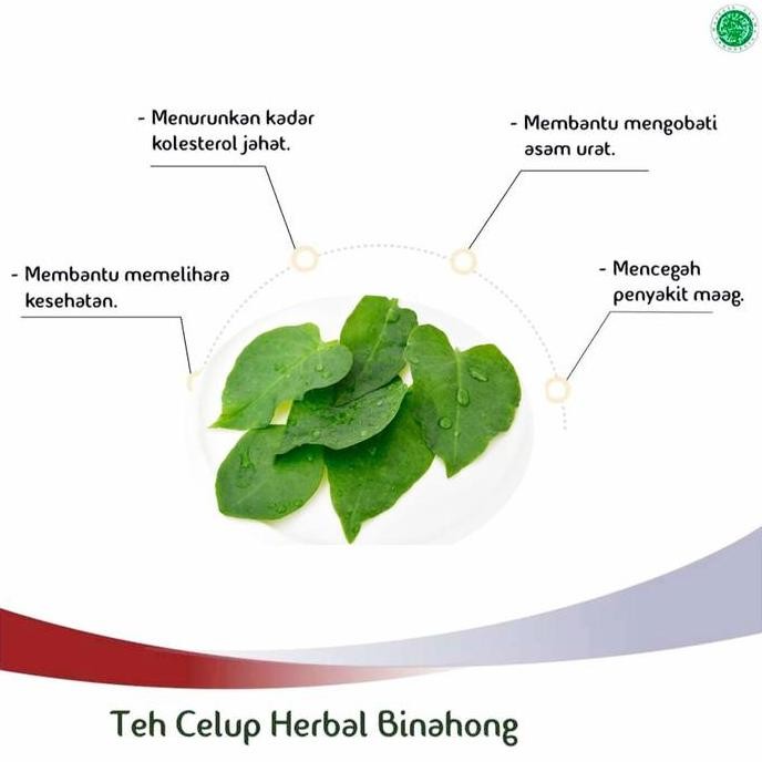 

Teh Celup Daun Binahong Darusyifa Isi 20 Kantong