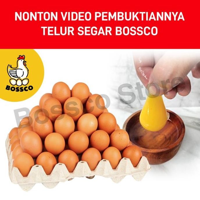 

Produk Baru!! Telur Ayam Negeri 1kg - Telor Peternakan Dijamin Fresh