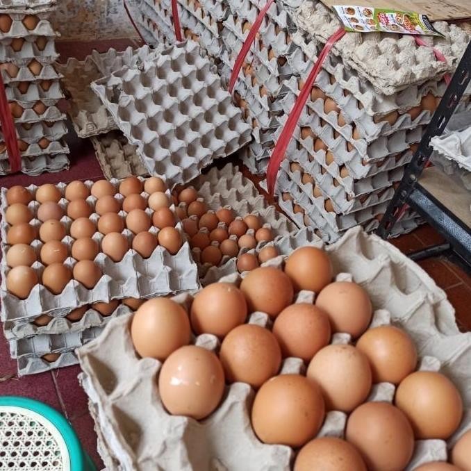 

Produk Baru!! Telur Ayam Negeri Segar 1 Kg - Telur Fresh Harian