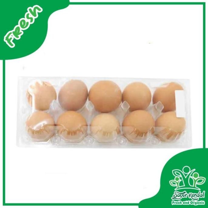 

Produk Baru!! Telur Ayam Omega 3 Segar - Sayur Kendal