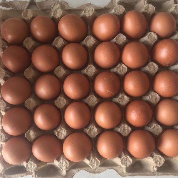 

Produk Baru!! Telur Ayam Negeri Isi 30 Butir Paket Hemat Telur Curah