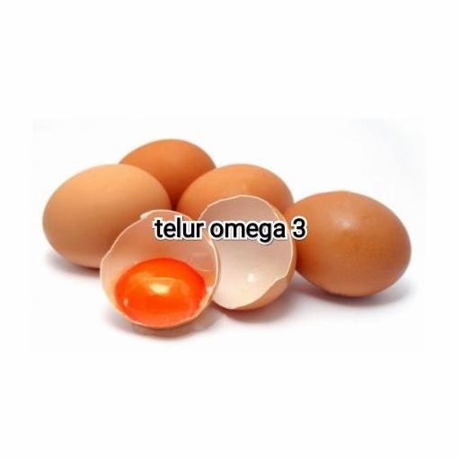 

Produk Baru!! Telur Ayam Negeri Omega 3 Isi 30 Butir Termurah & Bergaransi