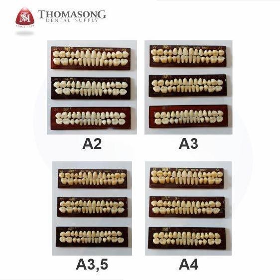 Original Caiyu Gigi Palsu Fullset - Gigi Tiruan Atas Bawah Lengkap