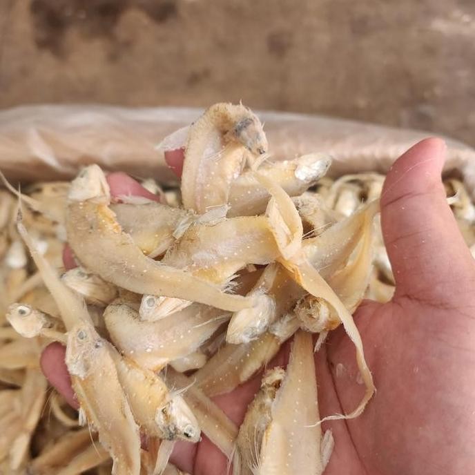 

Ikan Asin Bulu Ayam Top Spr Bening 10Kg/10.000Gr #Gratisongkir