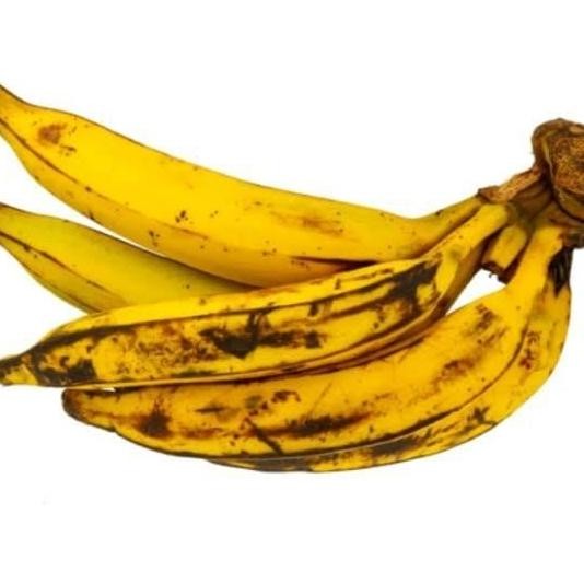 POHON TEERCAYAA Bibit Pohon Pisang Tanduk / Buah Pisang Tanduk