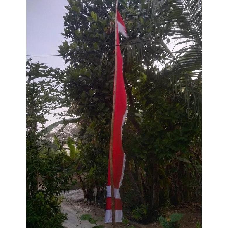 Bendera Umbul-Umbul Merah Putih 17 Agustus Bendera Agustusan