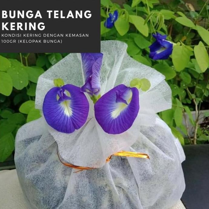 

Telang Kering Kemasan 1Kg