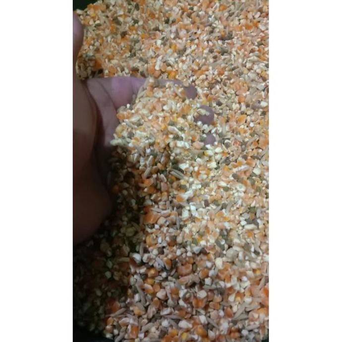 

Jagung Campur 1 Karung 25 Kg Pasti Co