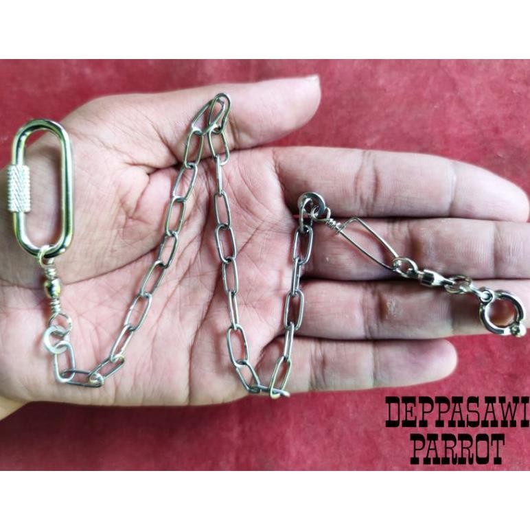 (Terbaru) Rantai burung nuri stainless stell (Terlaris)