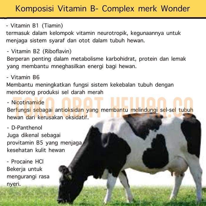 PZM Obat Hewan Injeksi Vitamin B Complex WONDER untuk Anjing, Kucing, Sapi, dan Kuda - Ready Stok 50