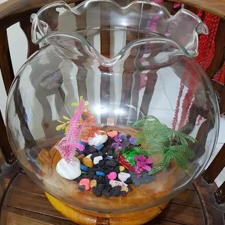 Aquarium Bulat Kaca Akuarium Kembang (INSTANT)