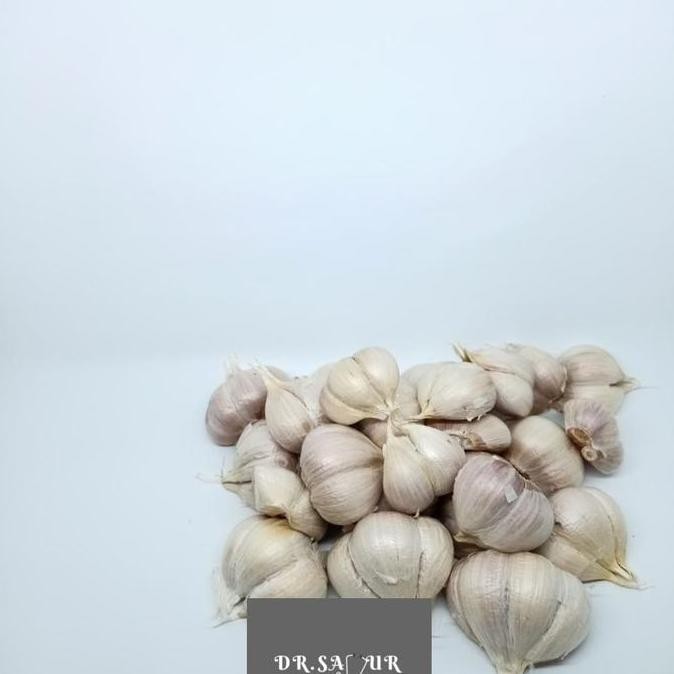 

Original Bawang Putih Kating Utuh Super - Bawang Premium Segar & Wangi