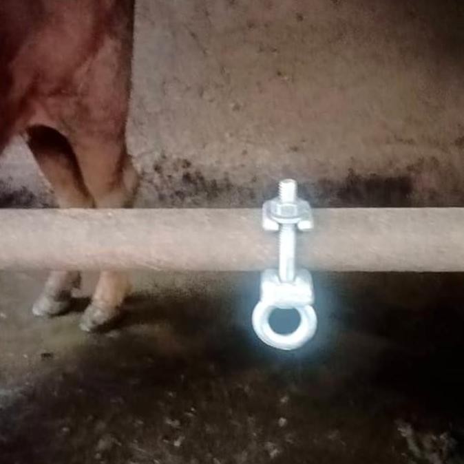 Safety Clamp For Scafolding Not Jordan Clamp