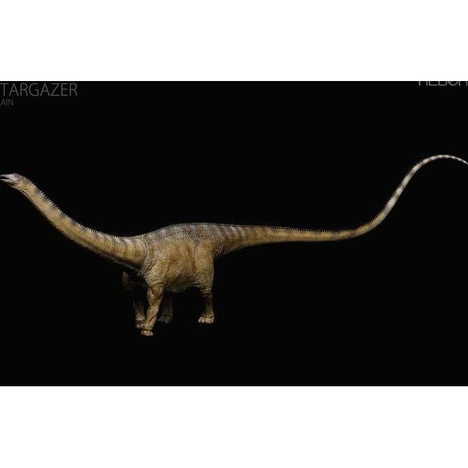 Rebor Diplodocus carnegii