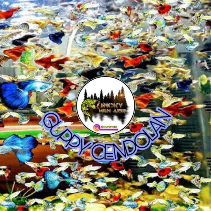 AL IKAN GUPPY PAKET CENDOLAN 20 EKOR