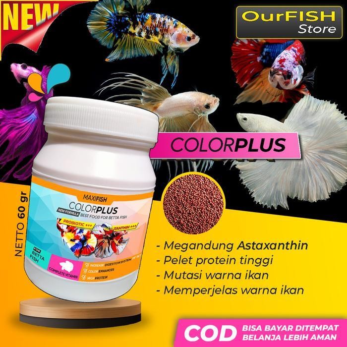 AL Pelet Pakan Ikan Cupang COLORPLUS Blue Rim Avatar Halfmoon Galaxy Gi