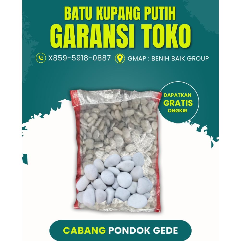 Batu Putih Tanaman Taman Sebesar Koin 500an Karungan PONDOK GEDE Nugi