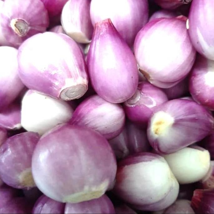 

Diskon! Bawang Putih Segar 1 Kg - Bawang Dapur Harian, Masak & Goreng