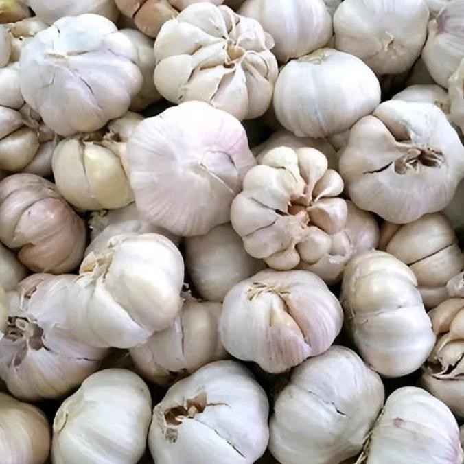 

Diskon! Bawang Putih Pack 1kg - Bawang Putih Segar Kualitas Bagus