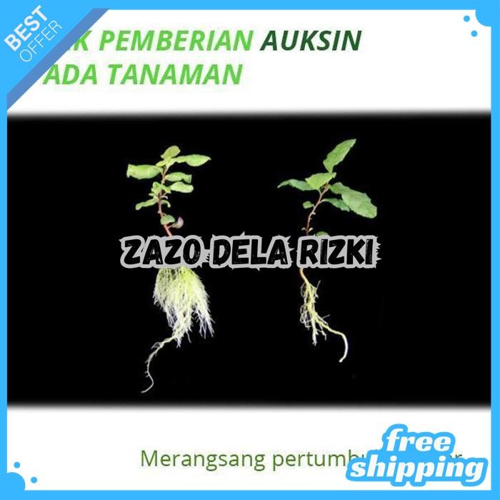 AUKSIN MURNI 60 ML - ZPT HORMON TANAMAN PEMACU AKAR AUXIN BY ZAZODELARIZKI