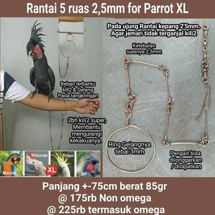Paket Ring Kaki Omega Dan Rantai Macau Bng Hingga Macaw Hyachint -Gratisongkir