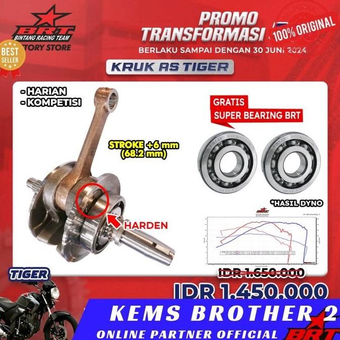 KRUK AS TIGER BRT STROKE UP FREE BERING KRUK AS BRT