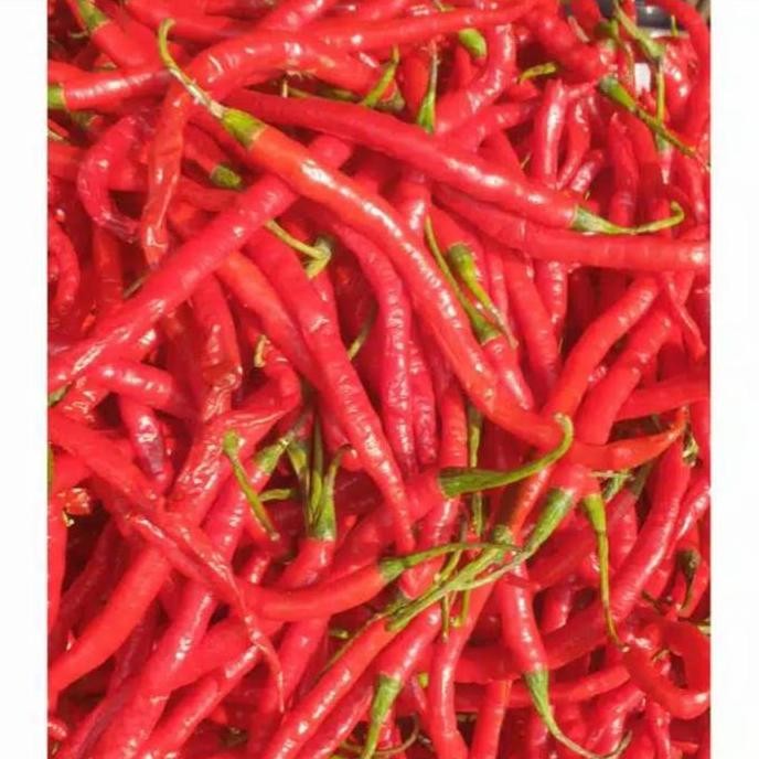 

Diskon! Cabe Merah Keriting 1Kg - Cabe Segar Pedas Asli