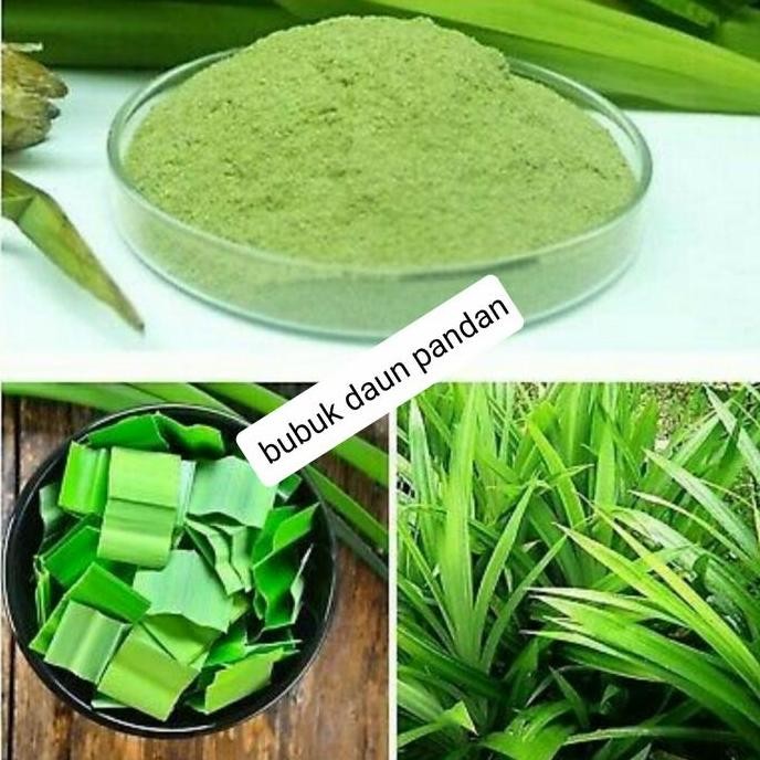 

Diskon! Bubuk Daun Pandan 500Gr | Pandan Leaf Powder | Aroma Makanan & Minuman