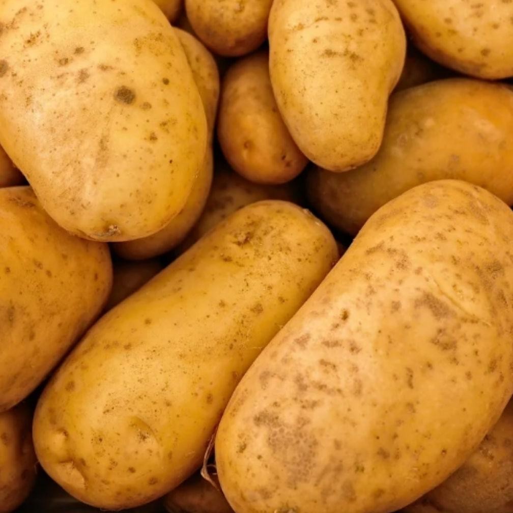 

Kentang Dieng Besar 1Kg aSt