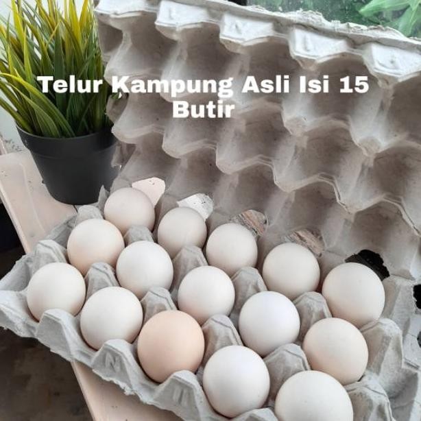 

Telur Ayam Kampung Asli Segar Isi 15 Butir aSt